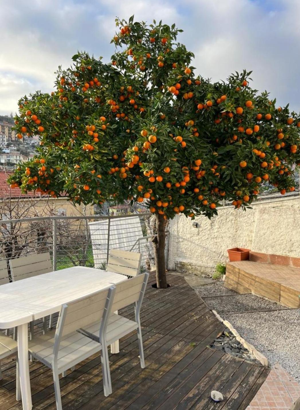 Villetta Fioregreco San Remo Extérieur photo
